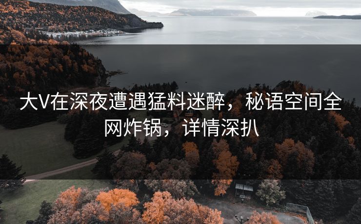 大V在深夜遭遇猛料迷醉，秘语空间全网炸锅，详情深扒