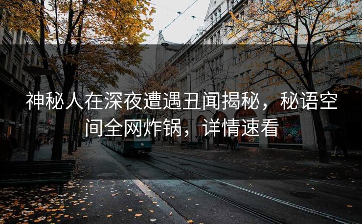神秘人在深夜遭遇丑闻揭秘，秘语空间全网炸锅，详情速看