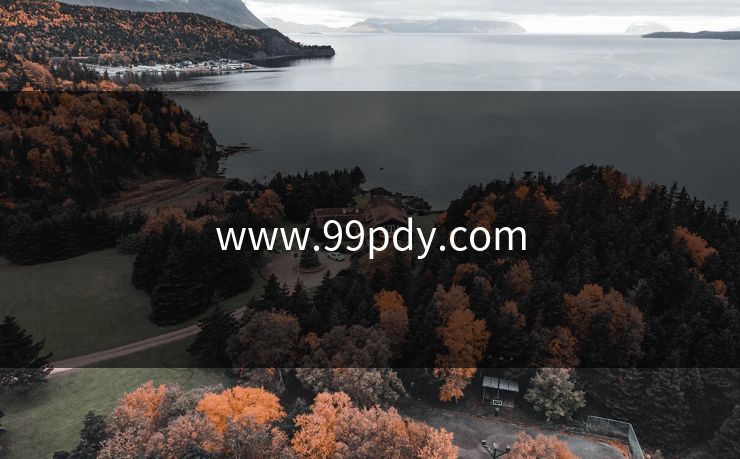 www.99pdy.com