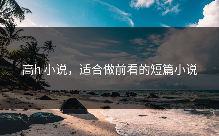 高h 小说，适合做前看的短篇小说