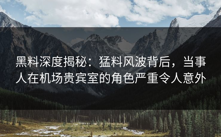 黑料深度揭秘：猛料风波背后，当事人在机场贵宾室的角色严重令人意外