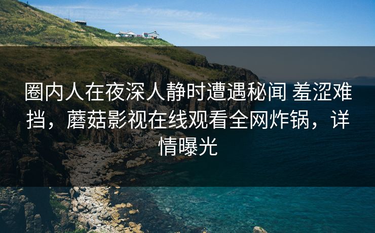 圈内人在夜深人静时遭遇秘闻 羞涩难挡，蘑菇影视在线观看全网炸锅，详情曝光