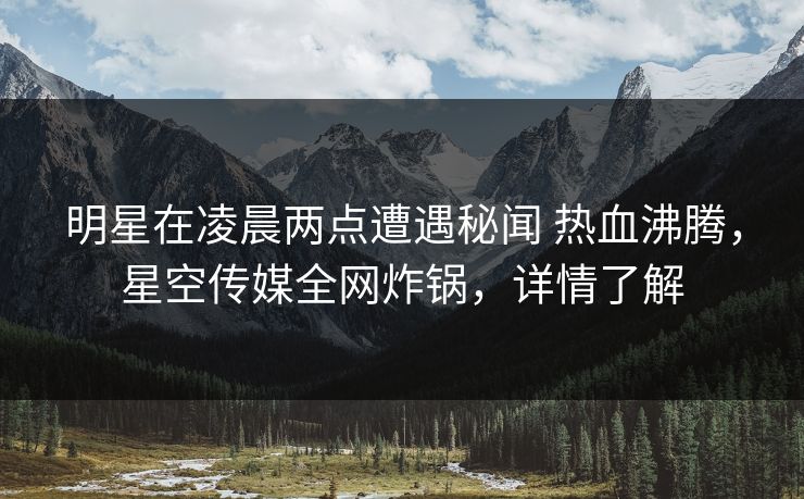 明星在凌晨两点遭遇秘闻 热血沸腾，星空传媒全网炸锅，详情了解