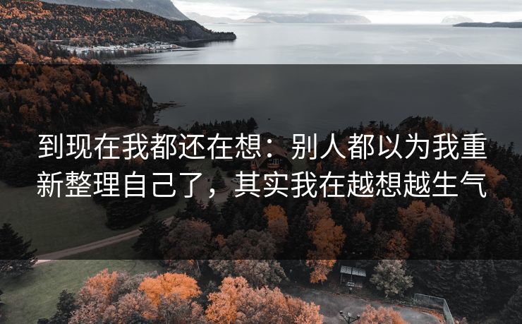 到现在我都还在想：别人都以为我重新整理自己了，其实我在越想越生气