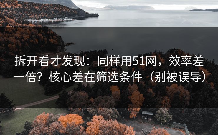 拆开看才发现：同样用51网，效率差一倍？核心差在筛选条件（别被误导）